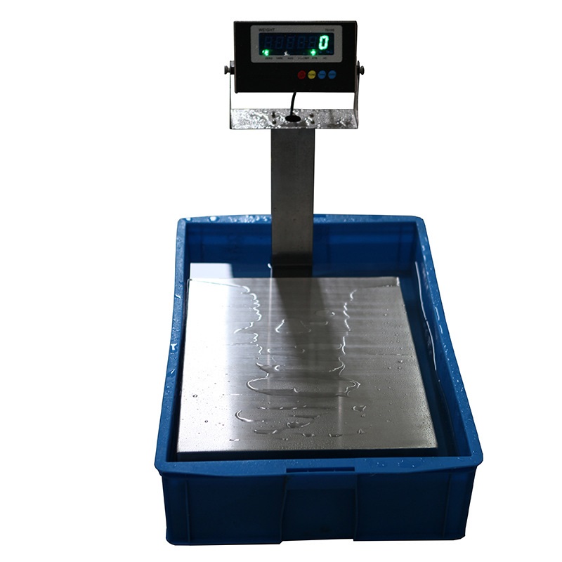 WS0151 China Waterproof Bench Scale Manufacturers Waterproof Bench Scale Supplier