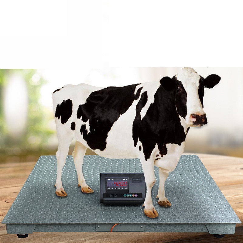 WSA101 Equine Scales To Weigh Your Horse Livestock Scales