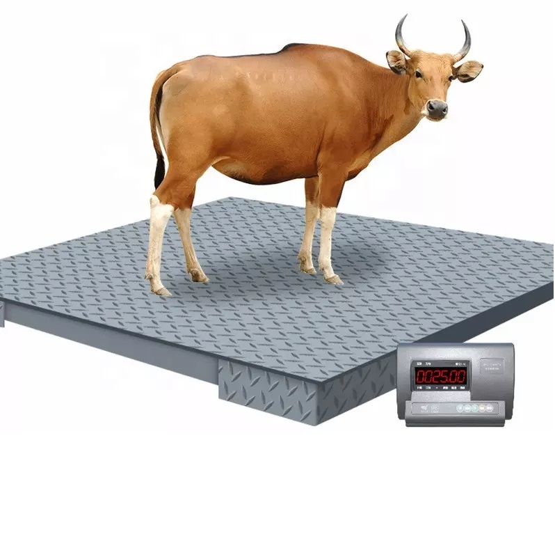 animal scales for horse Manufacturers,Livestock Scales Manufacturers